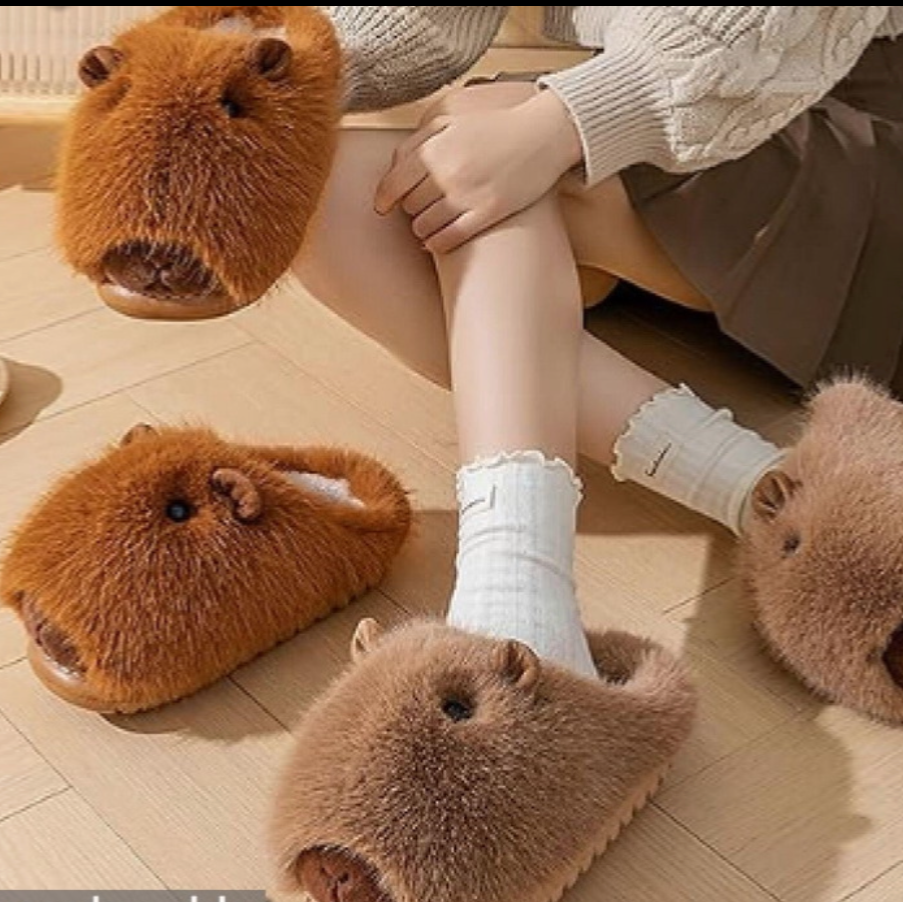 2141-Desde $110 por par #4-7 pantunflas capibara para Dama