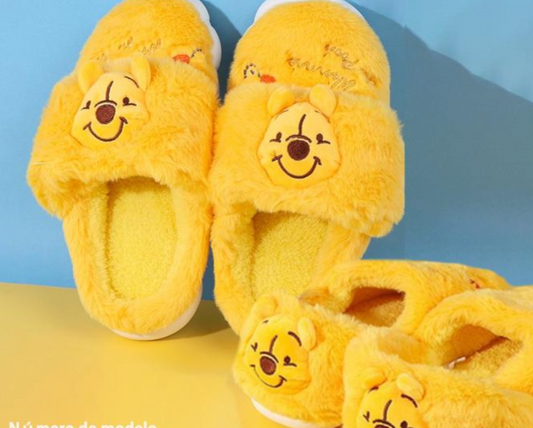 2094/WN - $115 PANTUFLAS UNISEX (caja con 48 pares)