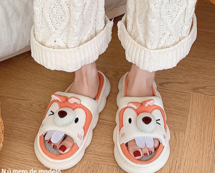 3007 - $100 PANTUFLAS DAMA (caja con 48 pares)