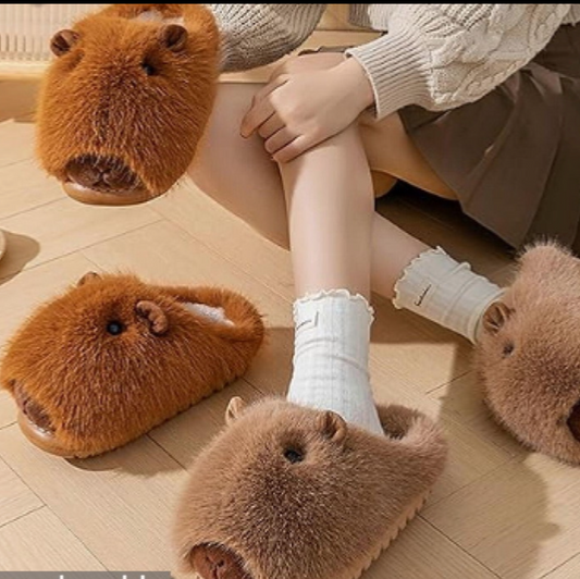 2141-Desde $110 por par #4-7 pantunflas capibara para Dama