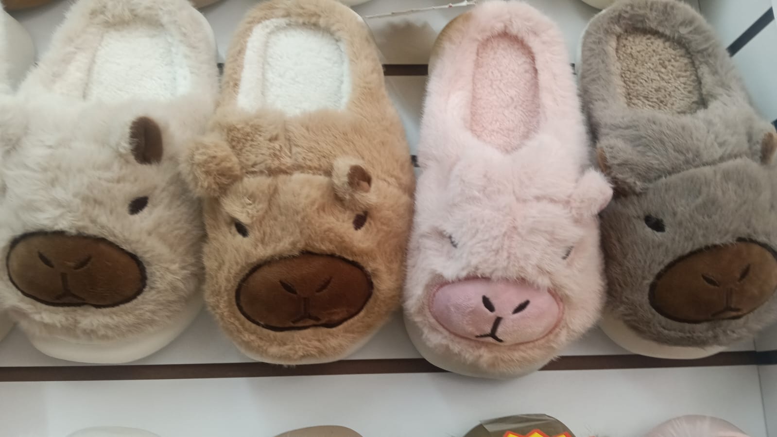 701149 - $115 PANTUFLA CAPIBARA DAMA #3-6 ( 24 PARES )
